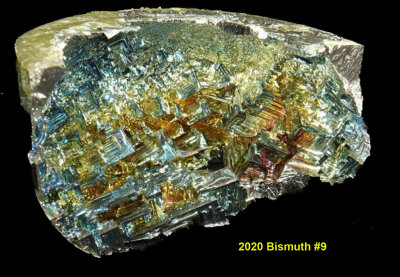 2020 Bismuth #9 RX405589_InPixio.jpg