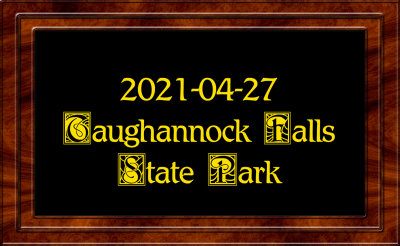 2021-04-27 Taughannock Falls State Park NY