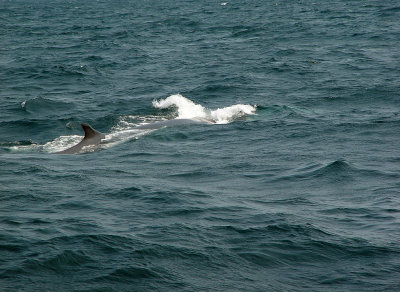 Mystic Conn  DSC00068 (Scene).jpg