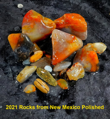 2021 Rocks from New Mexico Polished NEW03674_dphdr.jpg