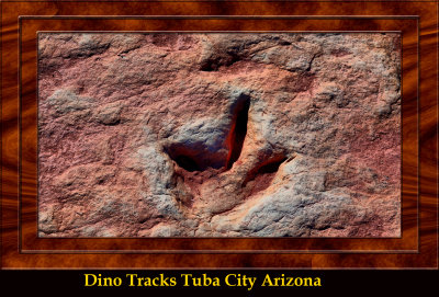 Tuba City Dinosaur Tracks DSC07752_dphdr copy.jpg