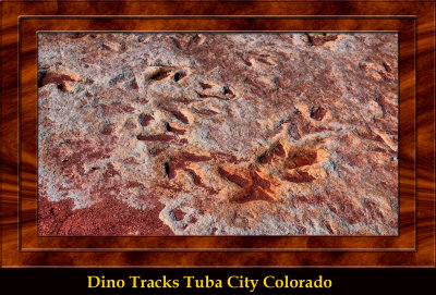 Tuba City Dinosaur Tracks DSC07792_dphdr copy.jpg