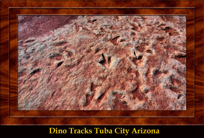 Tuba City Dinosaur Tracks DSC07812_dphdr copy.jpg