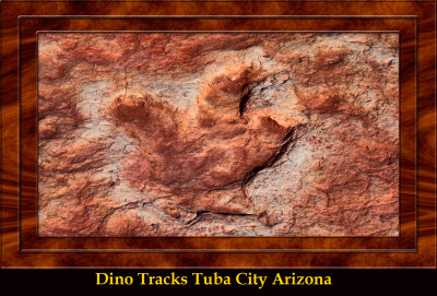Tuba City Dinosaur Tracks DSC07832_dphdr copy.jpg