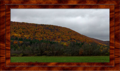 DSC05765_dphdr copy.jpg