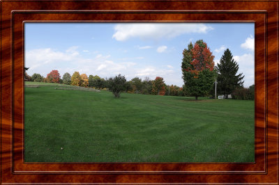 My Yard.jpg