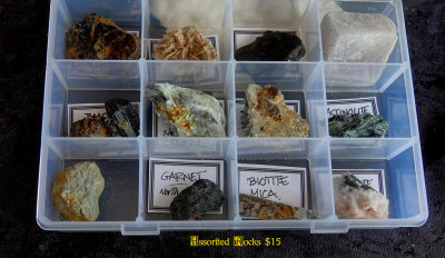 2022 Rock Show Vestal Assorted in Case NEW04386 (Raw)_dphdr.jpg