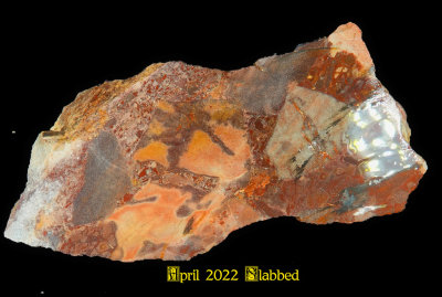 3 2022 (April) Sliced Slabs NEW05213 (Raw)_dphdr_InPixio.jpg