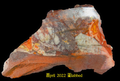 7 2022 (April) Sliced Slabs NEW05251 (Raw)_InPixio.jpg