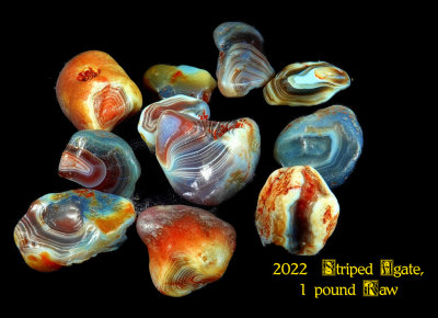 2022 Amazon Striped Agate,1pound Raw NEW06028_dphdr_InPixio.jpg