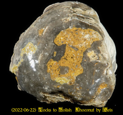 g12/64/61764/3/172710955.Lxb0Feon.jpg