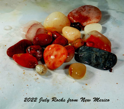 NEW08481.jpg