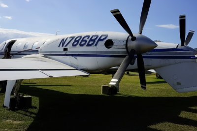 _DSC8170r.JPG