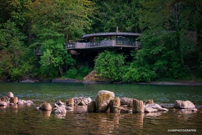 McKenzie River view