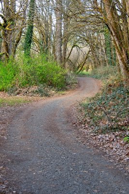 Dorris ranch trail