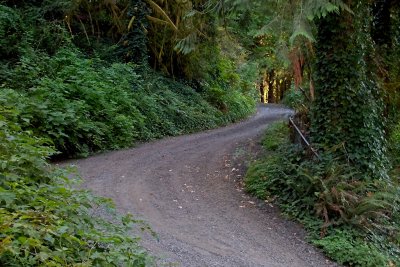 Road