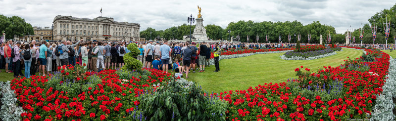 The Crowds at Buckingham Palace
