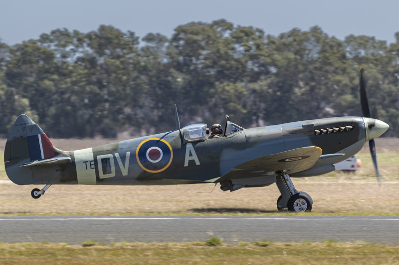 Spitfire LF Mk XVI 