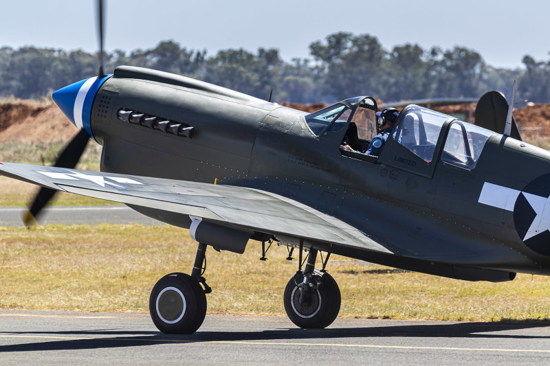 Curtis P40F Warhawk