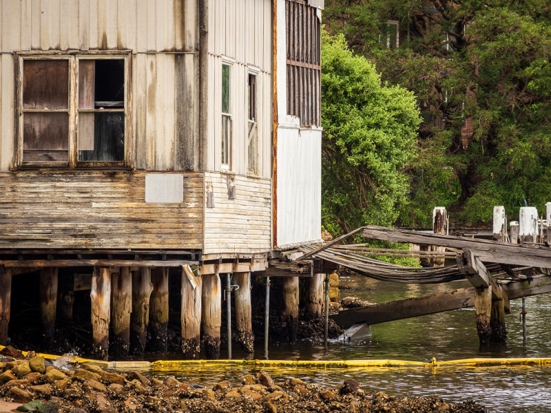 Boatshed in Decay
