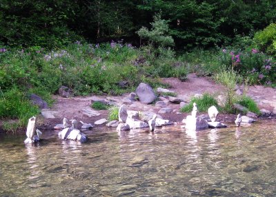 Someone's Impromptu Play Alongside the Umpqua