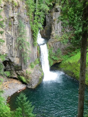 Toketee Falls (Along the North Fork of the Umpqua)