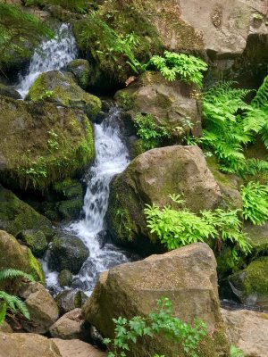 A Close Up Taken on the Walk to Watson Falls 