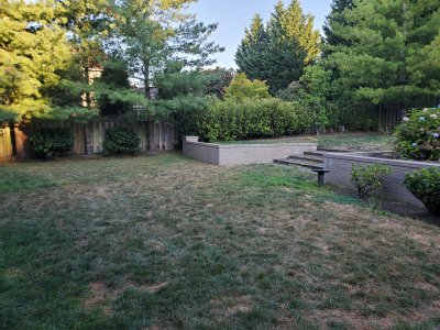 Yard Before Pool