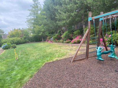 backyard2.jpg
