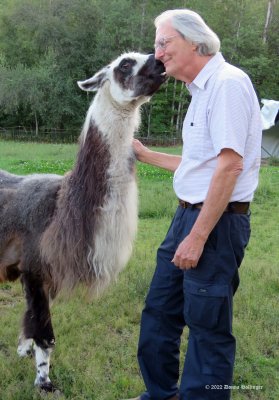My husband Peter...with a llama