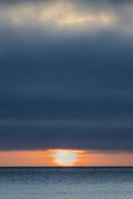 _X2_8085.jpg