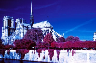 Notre Dame Cathedral (IR photo)