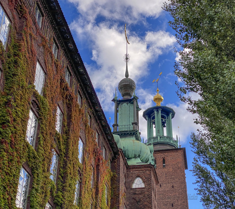 Stockholm Town Hall cupolas.jpg
