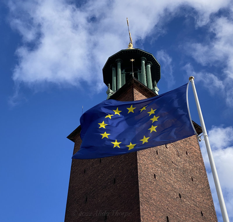 Sweden flag at Town Hall.jpeg