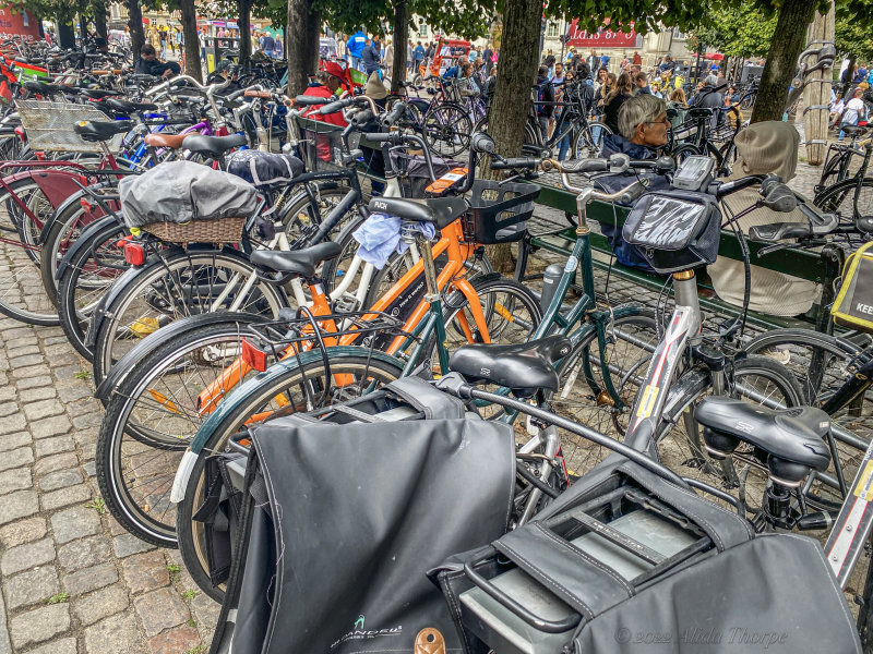 Copenhagen bikes2.jpg