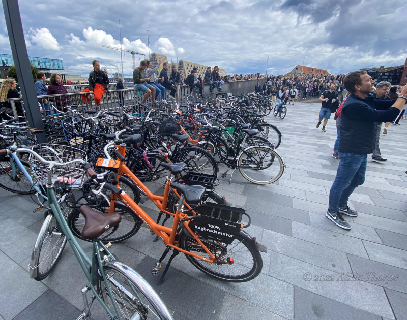 Copenhagen city of bikes.jpg