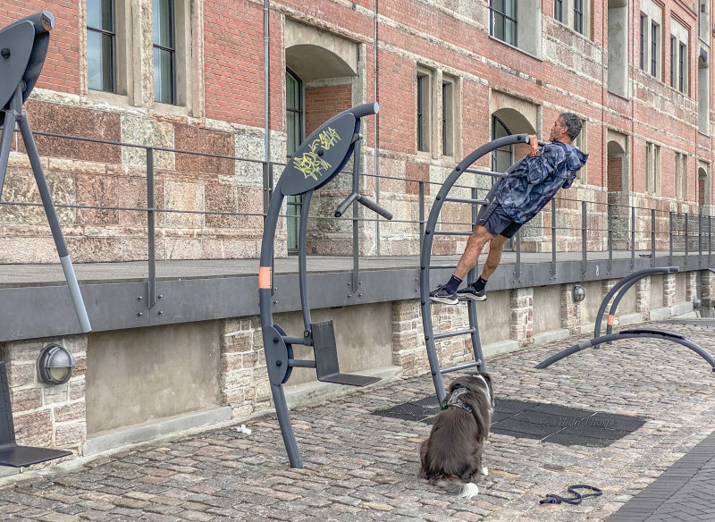 Copenhagen workout.jpeg