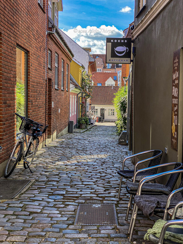 Aalborg Kaffebar.jpg