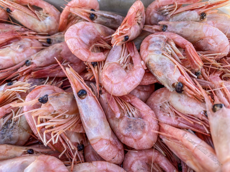 Cooked shrimp with heads.jpg