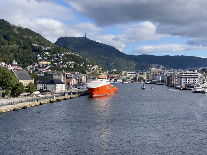 Bergen Harbor.jpg