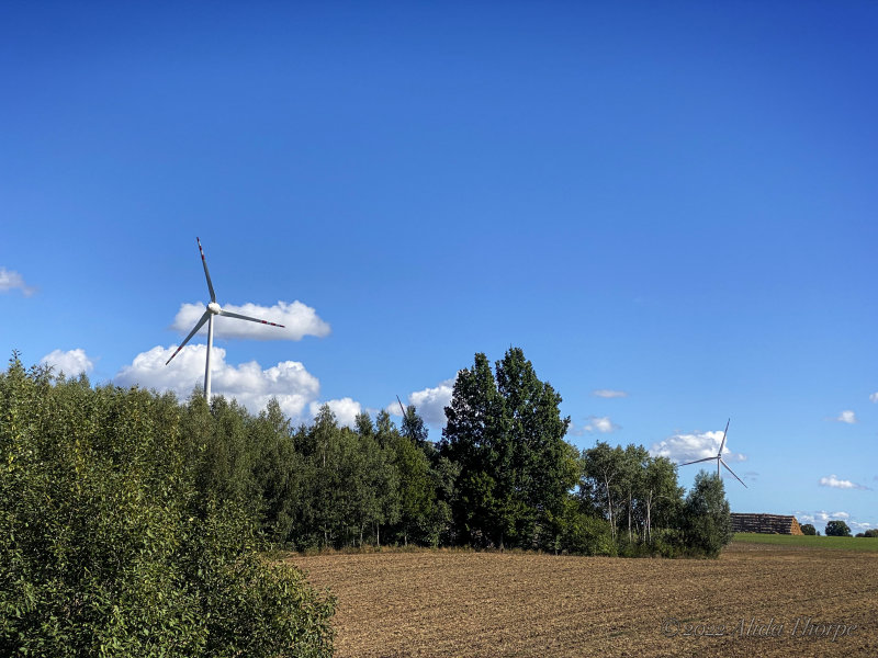 Poland windmills on farm.jpg
