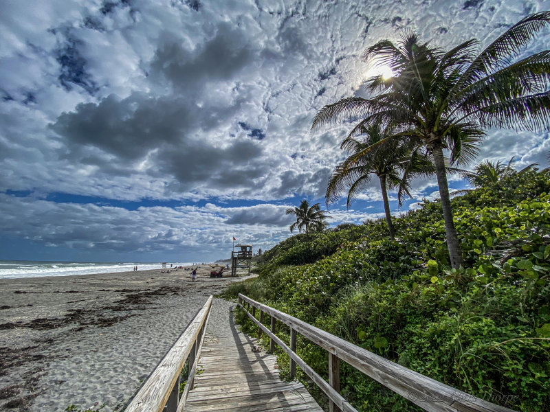Florida beach.jpg