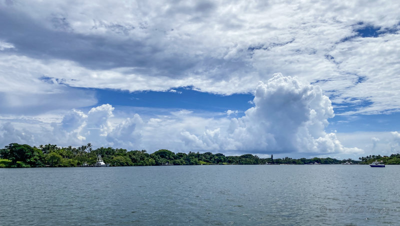 Florida clouds.jpg
