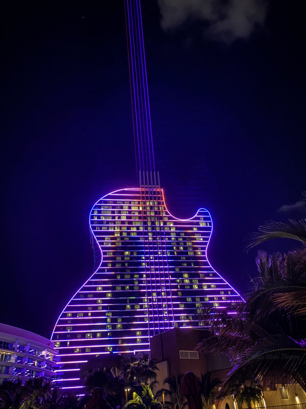 Guitar Hotel.jpg