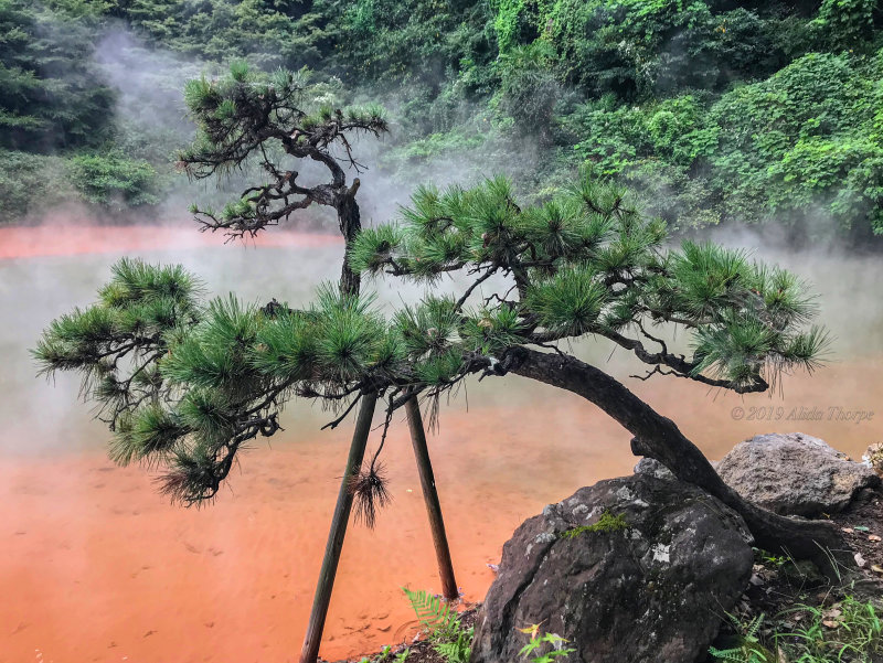 Hot Springs Beppu Japan