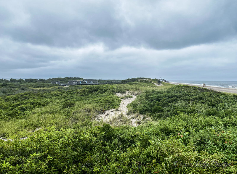 Fire Island Dunes Watch Hill 