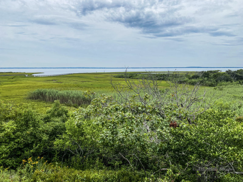 Watch Hill, Fire Island, New York