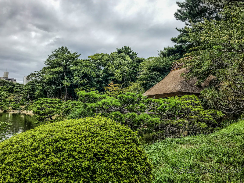 Gardens in Japan