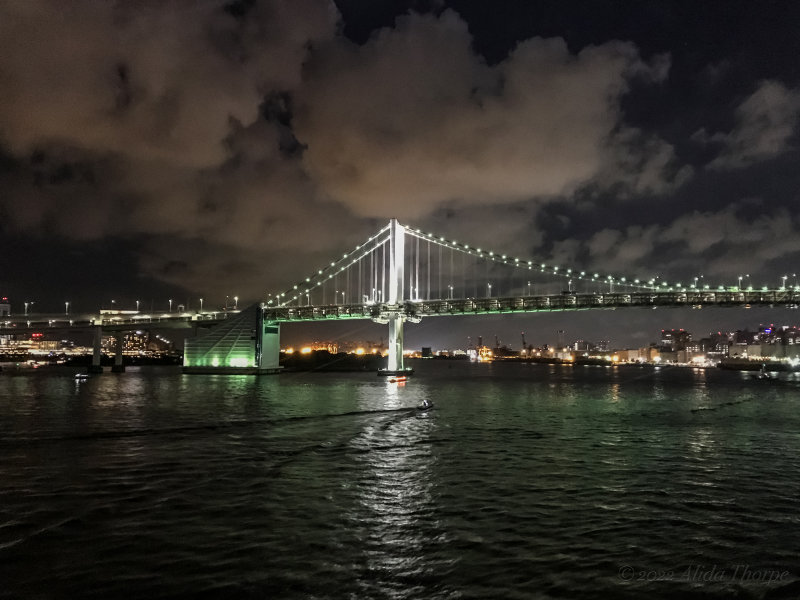 Tokyo bridge night