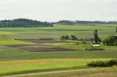 Part of the prairie at Ebey's Landing 